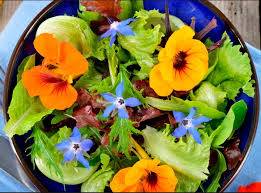 Immagine dell'articolo