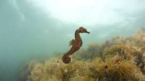 Immagine dell'articolo