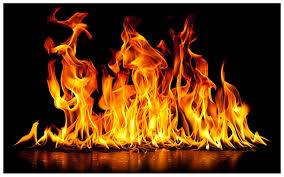 Immagine dell'articolo