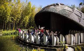 Immagine dell'articolo