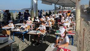 Immagine dell'articolo