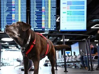 Immagine dell'articolo