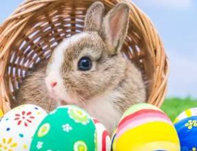 VACANZE DI PASQUA: TEMPO DI GIOCHI, SORPRESE E PICCOLE AVVENTURE