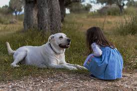 CANI E BAMBINI