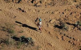 Immagine dell'articolo