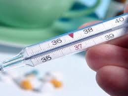 Immagine dell'articolo