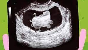 PEPPA PIG, ARRIVA UN BEBÈ! 